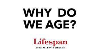 The Science Behind Why We Age  Lifespan with Dr David Sinclair 1 [upl. by Zetana]