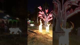 NIT Garden Nagpur Beautification [upl. by Cyrano]