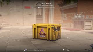 DAY 193 OPENING CS2 CASES UNTIL I GET GOLD [upl. by Aihsinat]