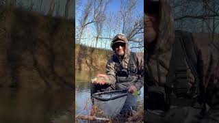 Chasing rainbows in a new creek creekfishing troutfishing fishing flyfishing rainbowtrout [upl. by Ralat]