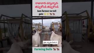 Iam farmer no toll gate 🌾🌾🐂🐂 [upl. by Piderit]