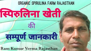 Spirulina farming 🌿 स्पिरुलिना खेती की जानकारी Spirulina cultivation spirulina farming training [upl. by Sherry168]