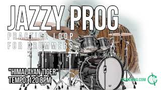 Jazzy Prog  Drumless Track For Drummers  quotHimalayan Tigerquot [upl. by Yhtomit77]