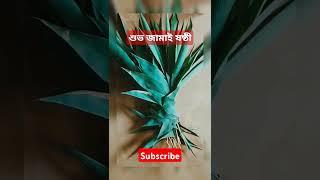 jamai sasthiviral trending food youtube shortssubscribetomychannel likeshare [upl. by Derfniw]