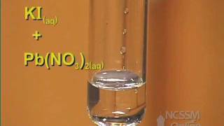 Double Displacement Lead Nitrate and Potassium Iodide [upl. by Starobin255]