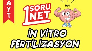 İn Vitro Fertilizasyon sayfa  1396  AYT Biyoloji [upl. by Yentirb]