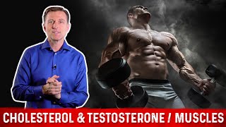 The Importance of Cholesterol for Your Muscles and Testosterone – Dr Berg [upl. by Aecila]