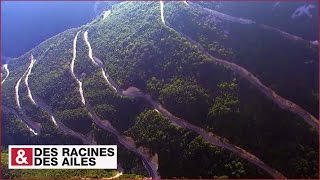 Le col de Rousset un coup de foudre permanent dans le Vercors [upl. by Rapsac319]