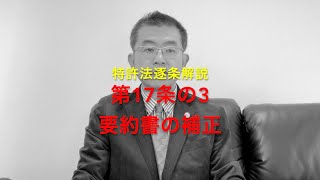 特許法逐条解説 第17条の3 要約書の補正 [upl. by Eidnas961]