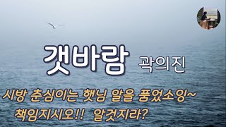 갯바람곽의진시방 춘심이는 햇님 알을 품었소잉 책임지시오 알것지라 [upl. by Llydnek]