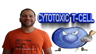 Cytotoxic Tcell activation [upl. by Anjela]