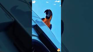 Funny Viberation In Parrots shortsyoutube shortfeed youtubeshort [upl. by Richmal]