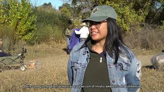 Monthly Habitat Restoration Days in Los Angeles with Friends of the LA River 🍃 [upl. by Querida]