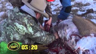 Fred Eichler How to quarter an Elk in less than 10 min Gutless field dressing [upl. by Aivizt]