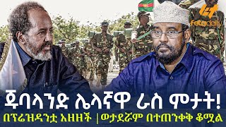 Ethiopia  ጁባላንድ ሌላኛዋ ራስ ምታት በፕሬዝዳንቷ አዘዘች ወታደሯም በተጠንቀቅ ቆሟል [upl. by Amalbergas]