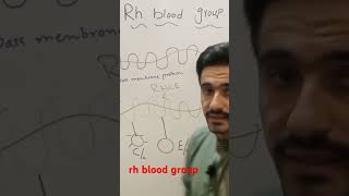 Rh blood groups system [upl. by Aseek]