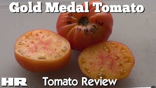 ⟹ GOLD MEDAL  Solanum lycopersicum  Tomato Review [upl. by Frodin]