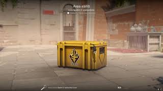 DAY 371 OPENING CS2 CASES UNTIL I GET GOLD [upl. by Akenn126]