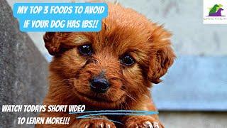 MY TOP 3 FOODS TO AVOID IF YOUR DOG HAS IBS [upl. by Shaya]