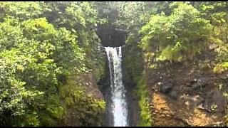 Mauritius Waterfall Vallee des couleurs [upl. by Wrightson798]