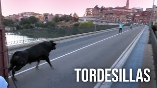 Tordesillas 2024 Toro de la Hosteleria [upl. by Oesile765]