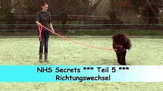 Teil 5 Richtungswechsel an der Longe  Natural Horsemanship Secrets [upl. by Evy]