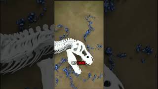 How fossilization is formed shorts 3dnimation [upl. by Tolland]