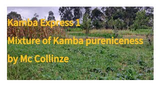 Kamba Express 1 [upl. by Goldshell]