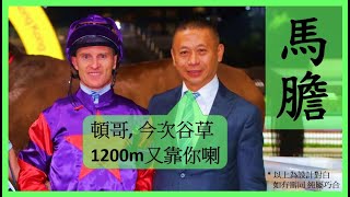 【賽馬貼士】今次介紹 潘頓 沈集成 套餐 Nek Chang 馬膽 R6 換人交代 DENFIELD R7 檔佳路合 COPARTNER AMBITION Hong Kong Horse Racing [upl. by Bartolemo]