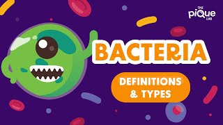 Bacteria Definition amp Types  Primary School Science Animation [upl. by Zelazny]