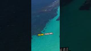 Keajaiban Tasik Merah Jambu Australia Barat Fenomena Alam yang Menakjubkan fakta travel [upl. by Ynnej285]