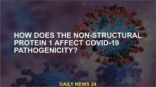 How does nonstructural protein 1 affect the pathogenicity of COVID19 [upl. by Meesaw]