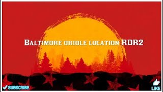 Baltimore oriole location RDR2 [upl. by Nizam258]