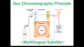 What is the Gas Chromatograph Multilingual Subtitle [upl. by Oznol]