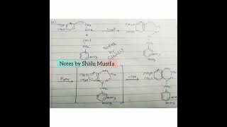 PAPAVERINE Optically inactive Alkaloids alkaloids Papaverine [upl. by Nefen]