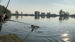 Jesienny cieżki method feeder 🎣 [upl. by Fretwell]