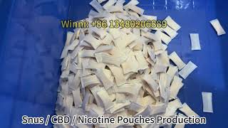 Automatic manufacturing swedish nicotine pouch snus packing machine ultrasonic seal [upl. by Mcadams]