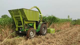 Napier Grass Harvester [upl. by Bazluke]