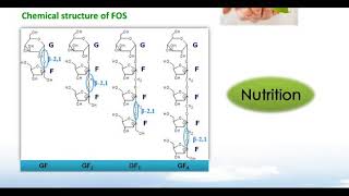 Fructooligosaccharides FOS [upl. by Netsrijk]