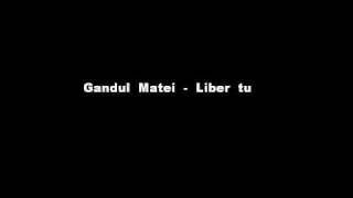 Gandul Matei  Liber tu [upl. by Kingdon]