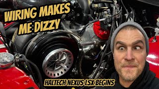 Haltech Nexus LSx Harness amp Repinning  Rewiring your fuel injectors [upl. by Horton524]