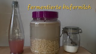 fermentierte Hafermilch selber machen [upl. by Geraint]