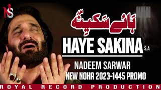 Nadeem Sarwar  Haye Sakinah  Nadeem Sarwar New Noha 20241446 [upl. by Pevzner]