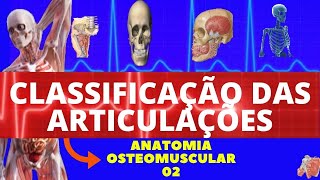 CLASSIFICAÇÃO DAS ARTICULAÇÕES ANATOMIA HUMANA  TIPOS DE ARTICULAÇÕES [upl. by Eiclehc]