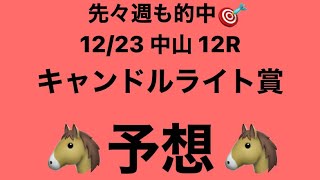 【キャンドルライト賞】12月23日 中山 12R 予想 [upl. by Obelia772]