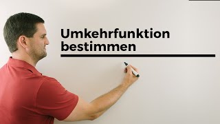 Ablauf Umkehrfunktion bestimmen  Mathe by Daniel Jung [upl. by Durstin318]