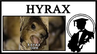 Hyraxes Are Cool [upl. by Eiddal462]