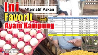 BAHAN PAKAN UNTUK AYAM KAMPUNG [upl. by Fulbert]