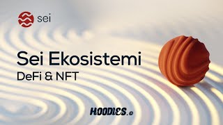 Sei Ekosistemine giriş ve NFT projelerini değerlendirme [upl. by Natsirc]