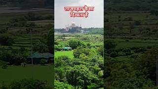 ताजमहल कैसा दिखता है tajmahal view from agra fort tajmahal view travel tajmahal shorts [upl. by Tybie]